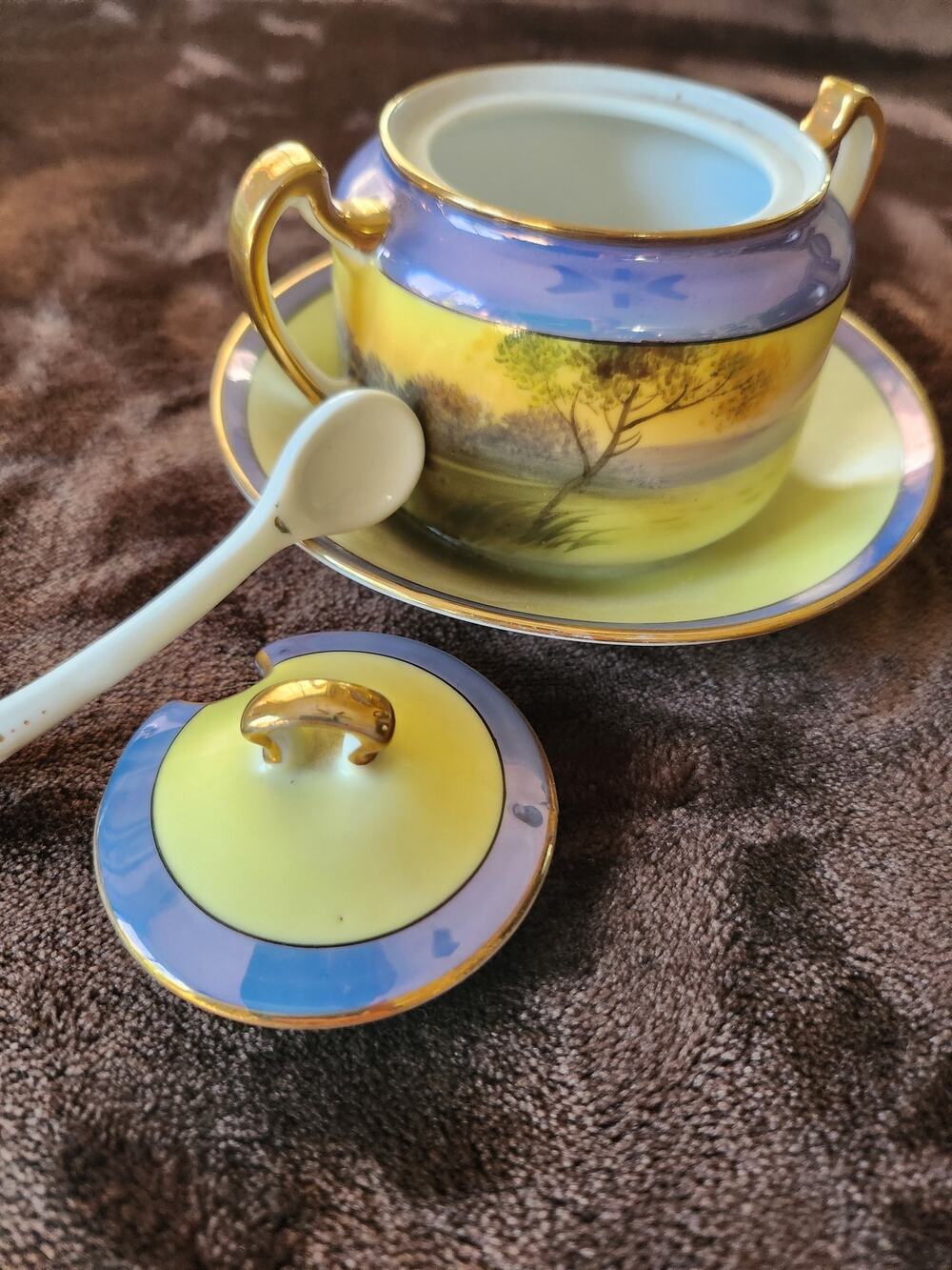Vintage Noritake Japan Handpainted sugar bowl